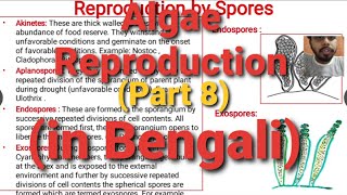 Algae Lecture 8  Reproduction in Algae  in Bengali [upl. by Annavahs473]