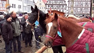 324 Leonberger Pferdemarkt  ausführlicher Bericht  10022015 [upl. by Etnovad]