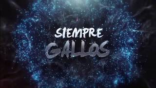 Especial refuerzos Gallos [upl. by Htir574]