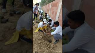 Plantation drive at GOVT BOYS SRSECSCHOOL JHARODA KALAN NEW DELHI on 05 Nov greendelhi [upl. by Irtak]