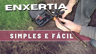 Como FAZER uma ENXERTIA muito simples e fácil [upl. by Akemed]