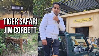 Jim Corbett National Park Safari  Jim Corbett Vlog Tiger Sighting tiger jimcorbett wildandnature [upl. by Yetnruoc]