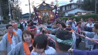 令和６年 海老名市＜本郷神社＞例大祭 【痛快】神輿＝渡御（居合～本宿） [upl. by Wandis]