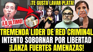 URGENTE Juez destruye a Patricia Benavides en juicio y teme ir presa como chibolin [upl. by Audie]