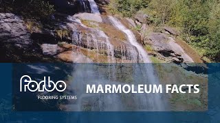 Marmoleum Facts  Forbo Flooring Systems [upl. by Evslin779]