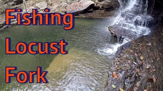 Fishing the Locust Fork Blount County Alabama [upl. by Platas47]