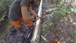 Building a Bog Bridge on a Hiking Trail [upl. by Vergne]