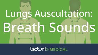 Mastering Lung Auscultation Breath Sounds Explained 🩺 [upl. by Agnew]