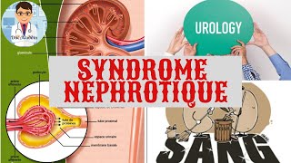 SYNDROME NEPHROTIQUE DÉFINITION  PHYSIOPATHOLOGIE  CAUSE  TRAITEMENT [upl. by Aicirtal]