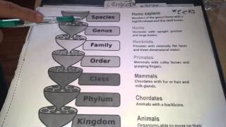 Cc cycle 1 week 1 science [upl. by Zoilla278]