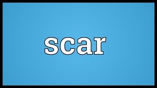 Scar Meaning [upl. by Savannah]