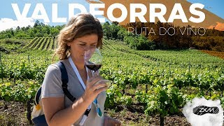 🍇 Conoce la auténtica Ruta del vino 🍷 de Valdeorras  Orense Galicia [upl. by Sheelah]