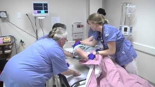 Code Blue  Nurse DemonstrationHD 720p Video Sharing [upl. by Woodhouse24]