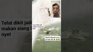 Hampir Aja Monyet Jadi Sarapan Buaya reaction [upl. by Tyoh853]