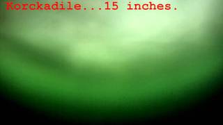 Big Lake Ice fishing Nov 20 2011 Underwater footage trial [upl. by Bhatt]