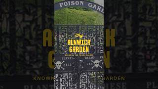 What secrets lurk in Alnwick’s DEADLY Poison Garden plants england uk nightshade gardentour [upl. by Aihtniroc]