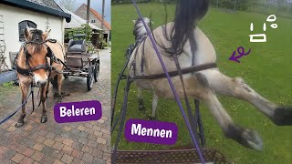 De EERSTE twee keren BUITEN met Tasha MENNEN  VLOG  VILARO [upl. by Yendroc]