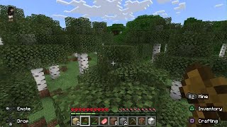 Minecraft Bedrock Hardcore NEW [upl. by Oirelav]