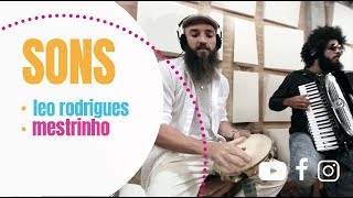 Sons  LÉO RODRIGUES e MESTRINHO [upl. by Burrows]