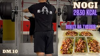 DM10  TRENING NÓG  MEAL PREP NA TYDZIEŃ  2830KCAL  81KG [upl. by Fitting210]