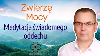 Zwierzę Mocy  Medytacja Prowadzona 432Hz Świadomego Oddechu LIVE12320241114 [upl. by Jacobine]