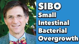 Small Intestinal Bacterial Overgrowth SIBO w Dr Steven SandbergLewis [upl. by Julis]