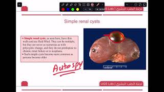 UGS Pathology Lab 1 [upl. by Surtemed]