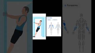 Doorway Curls Tutorial  Build Bicep Strength with Left amp Right Curls [upl. by Zendah287]