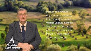 Pagini despre satul românesc „Ion” de Liviu Rebreanu 07 04 2019 [upl. by Zealand]