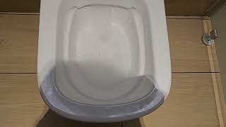 2015 Grohe Rimless toilet on a Grohe Auto Flush [upl. by Masterson713]