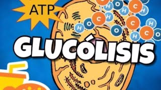 🔬GLUCÓLISIS RESPIRACIÓN CELULAR aprende lo más importante en 5 minutosGUIA EXAMEN UNAM BIOLOGIA [upl. by Antony]