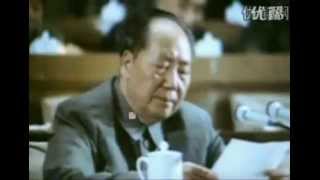 Mao Zedongs Speech at the 9th National Congress of the Communist Party of China [upl. by Biegel]