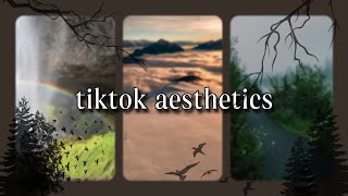 Tiktok aesthetics compilation №3  Calm aesthetics tiktok [upl. by Kenimod]