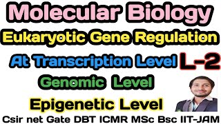 Eukaryotic Gene RegulationL2Regulation at Transcriptional or Genomic or Epigenetic levelcsirnet [upl. by Herod]