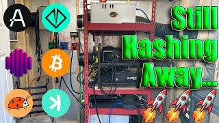 Still Hashing Away In the Crypto Mining Shed [upl. by Nahsin]