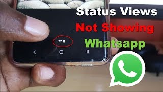 Status Views Not Showing Whatsapp Fix [upl. by Eceela206]