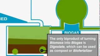 Biomass Gasification [upl. by Lezah]