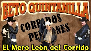 Beto Quintanilla El Mero Leon Del Corrido  Corrridos Perrones [upl. by Adnilema714]