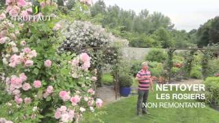 Calendrier du jardinier juillet que faire au jardin ou sur la terrasse  Truffaut [upl. by Monique]