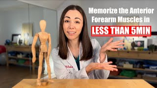 How to Memorize the Anterior Forearm Muscles in less than 5 min  Anatomy Tips  Dr Kumiko [upl. by Nezah238]