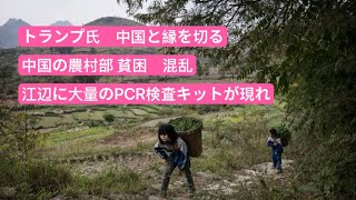 トランプ氏 中国と縁を切る 中国の農村部、貧困 混乱 湖南省の江辺に大量のPCR検査キットが現れた [upl. by Frannie]