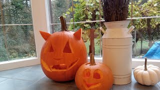 Country Cottage living quot HAPPY HALLOWEEN quot puppies and pumpkins 🎃 [upl. by Kcub580]