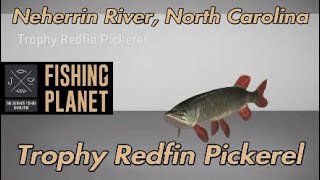 Fishing Planet Trophy Redfin Pickerel Neherrin River North Carolina [upl. by Gonnella]