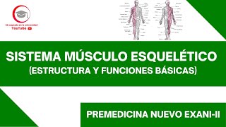 SISTEMA MÚSCULO ESQUELÉTICO  PREMEDICINA  NUEVO EXANIII [upl. by Notirb423]