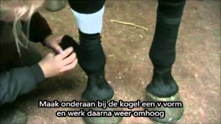 Paard wedstrijd klaar maken [upl. by Somar]