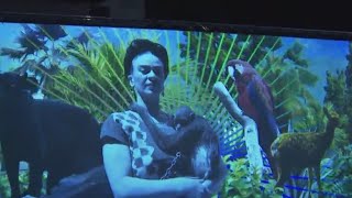 Immersive Frida Kahlo exhibit in Brooklyn brings artist to life [upl. by Milak]