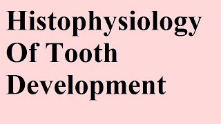 Histophysiology  Devp of tooth Part 1d [upl. by Sarajane910]