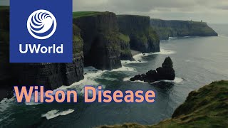 Wilson Disease vs Hemochromatosis vs Porphyria UWorld Notes USMLE USMLE Step 1 [upl. by Lussi810]