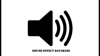 Radiation Alarm Sound Effect [upl. by Karlik]