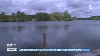 A Seignosse un étang noir et une nature magique [upl. by Dazhahs]